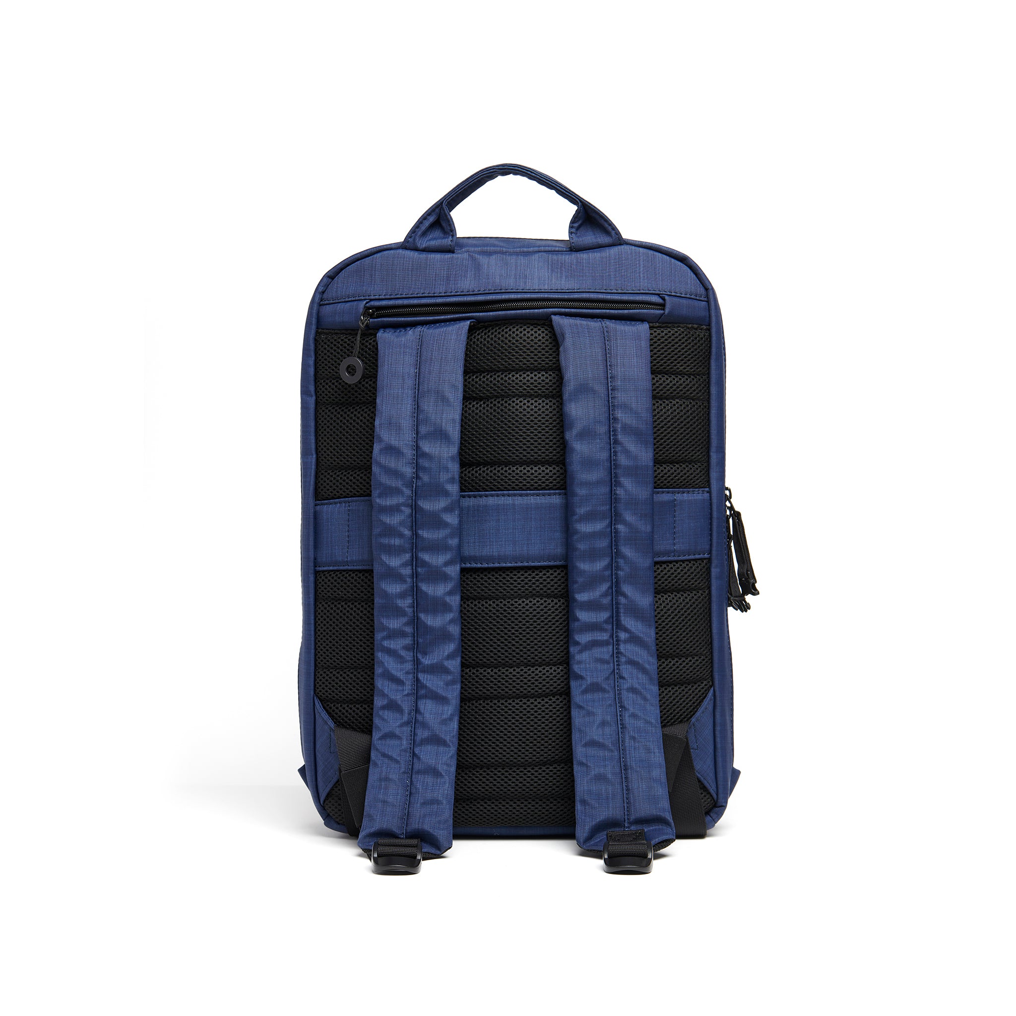 Mueslii daily backpack, made of  water resistant canvas nylon, with a laptop compartment, color ocean blue, back view.